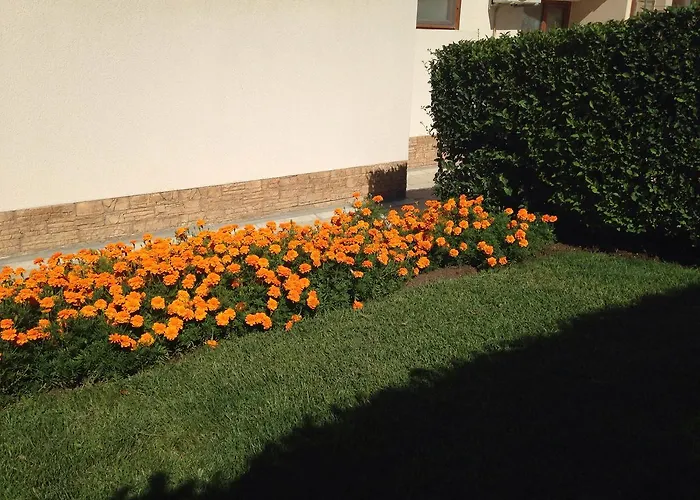 アパート Sunrise *